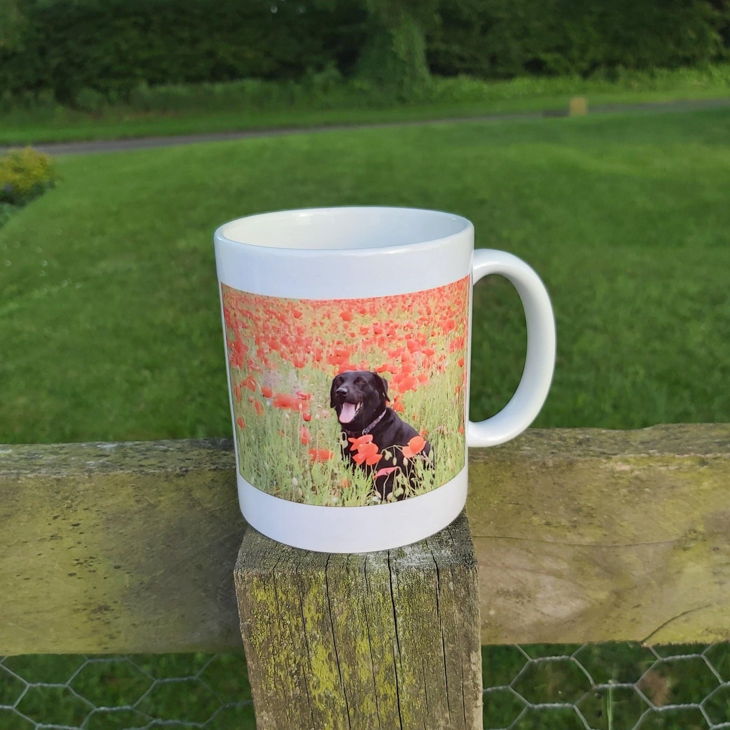 Personalised photo mug - moose and goose gifts