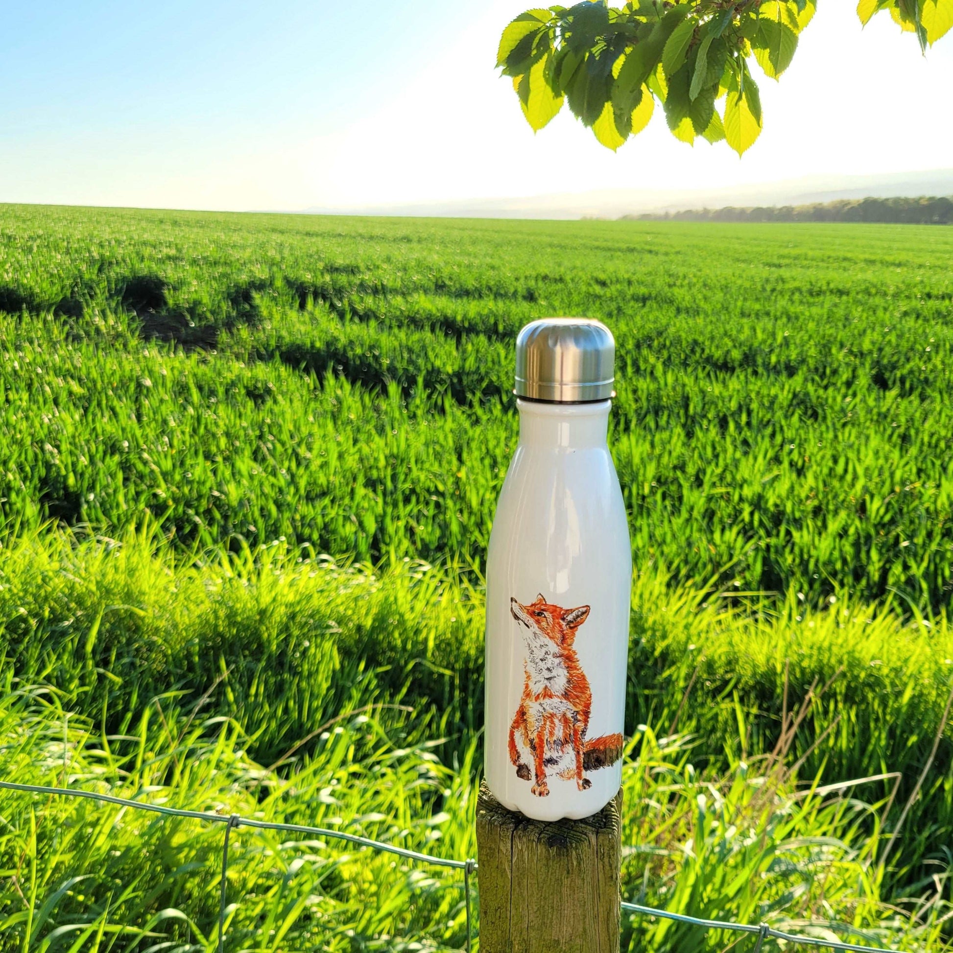 Fox insulated water bottle - cold and hot drinks