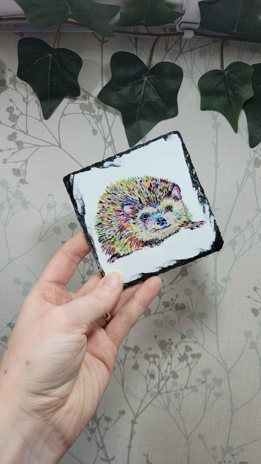 Printed rainbow hedgehog slate coaster