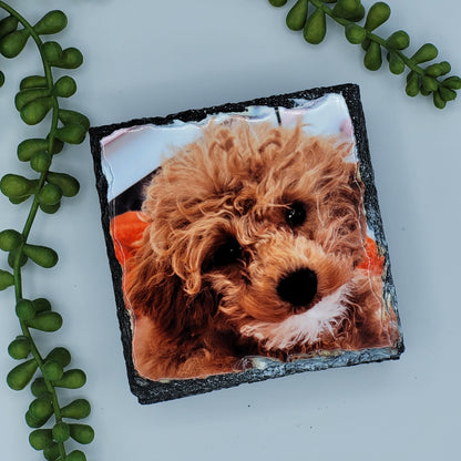 Personalised slate photo coaster - Photo gift - personalised gift moose and goose gifts - M&G