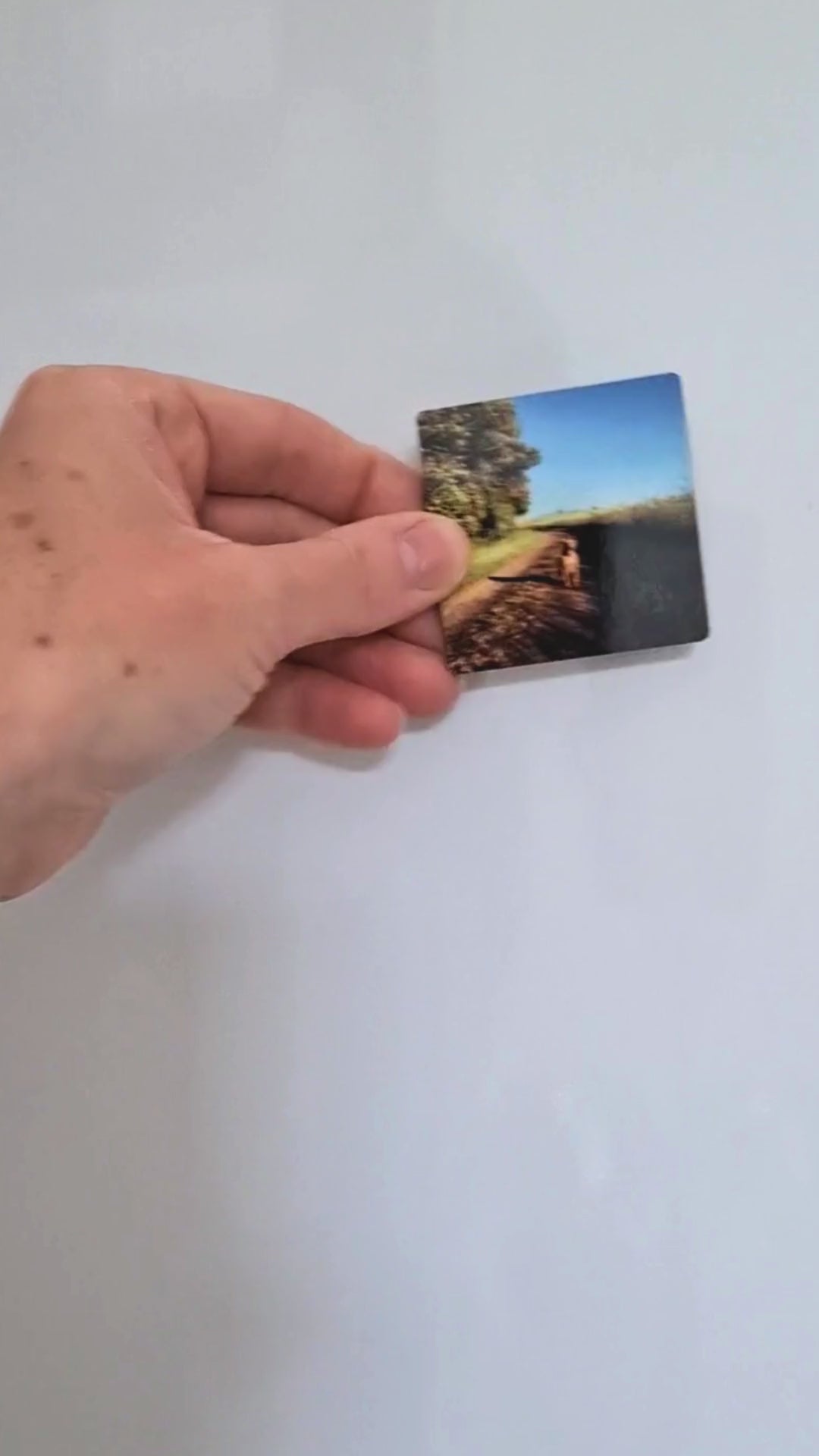 Photo personalised fridge magnets - Moose and Goose Gifts