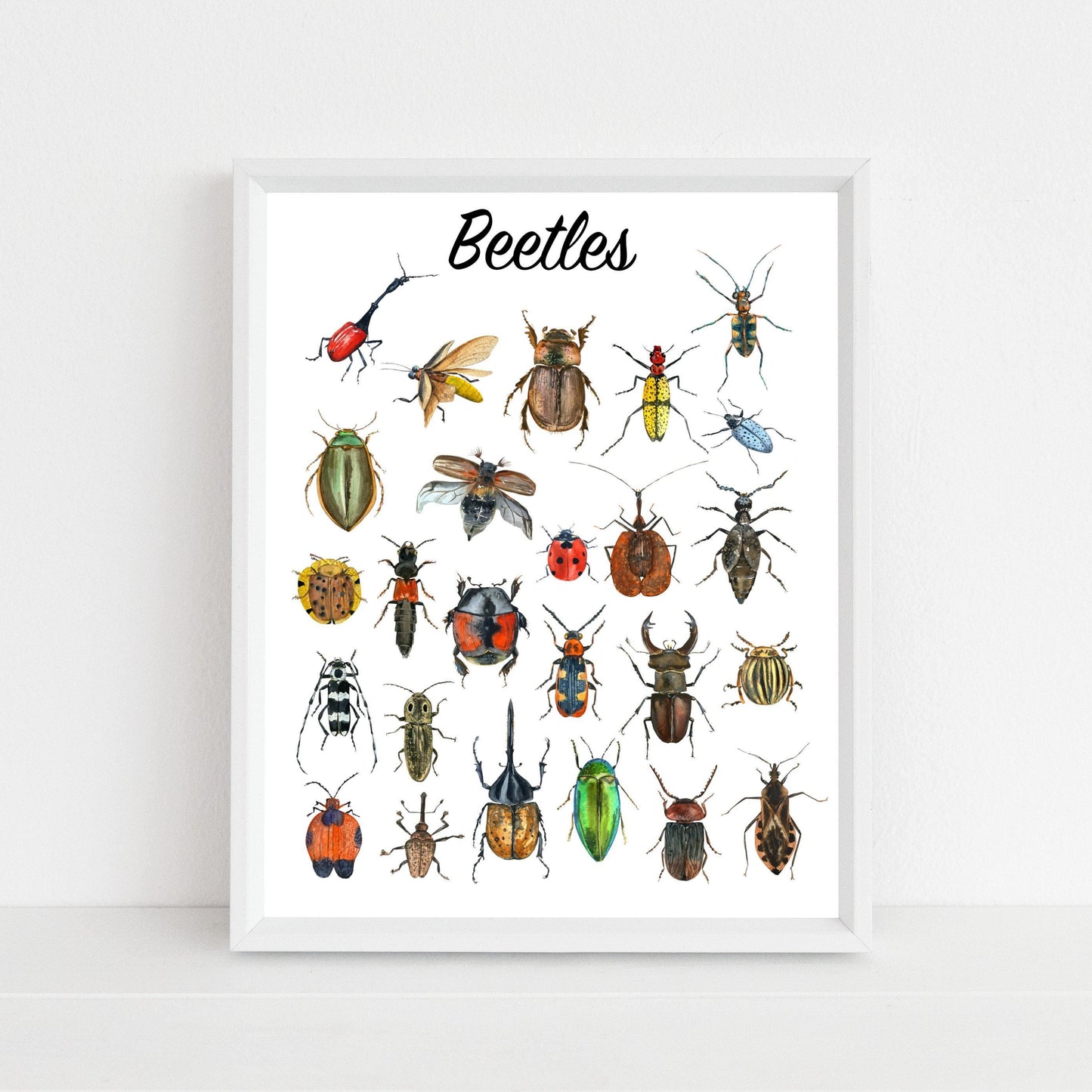Beetle print - Sew Tilley
